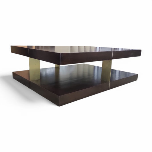 Modern Two-Tier Coffee Table with Storage Shelf